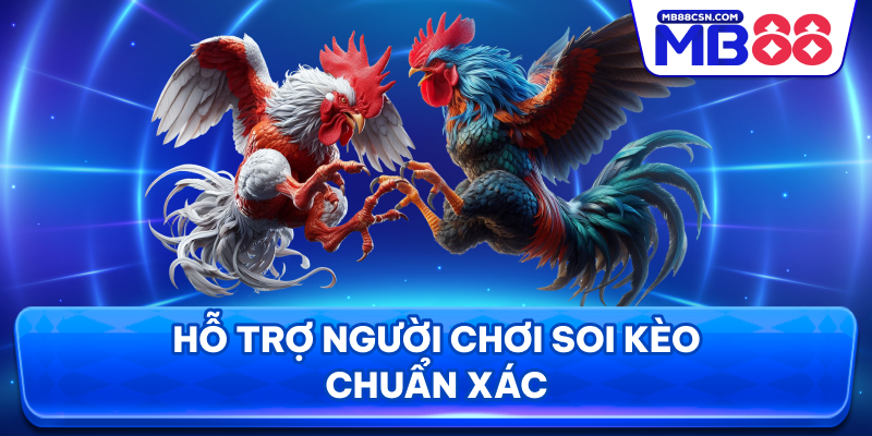 Hỗ trợ người chơi cách soi kèo chuẩn xác