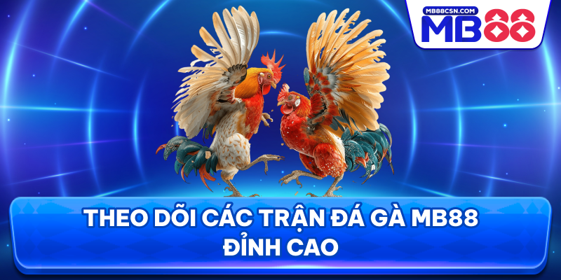 Theo dõi các trận đá gà MB88 đỉnh cao